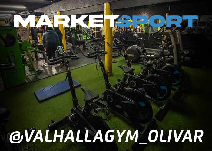 PROYECTO OLIVAR: VALHALLA GYM