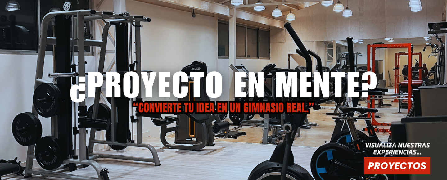PROYECTOS